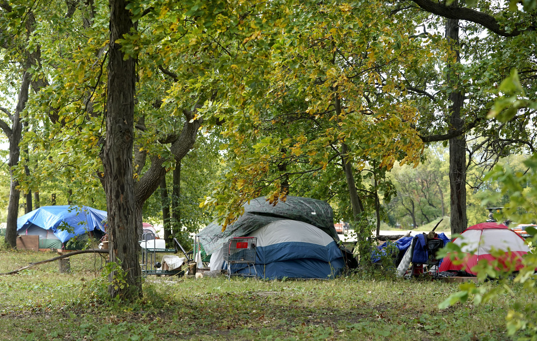 Reindahl Park tents